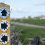 Isle of Wight Coastal Walks: How to Plan a Safe Autumn Route