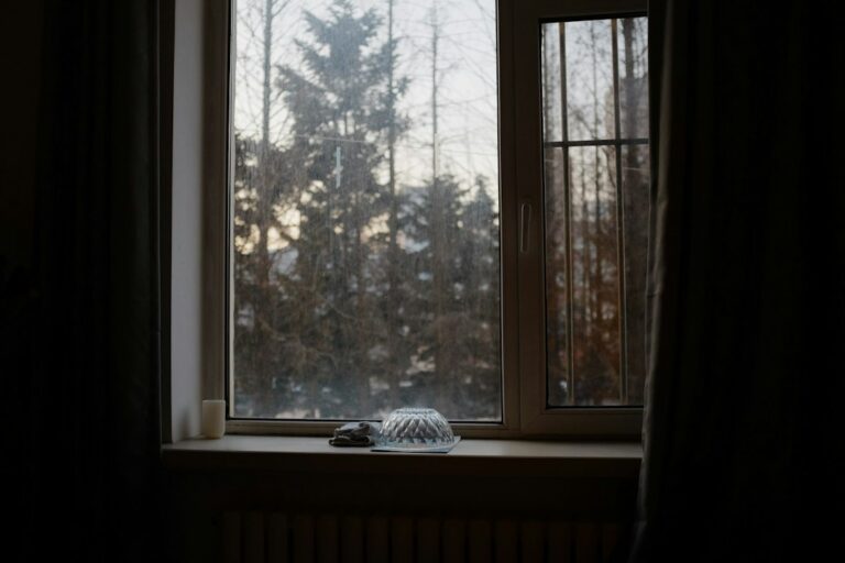 Winter trees seen through a home window, illustrating household heating and energy costs